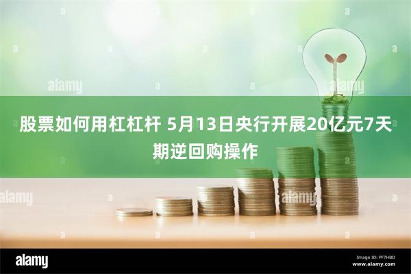 股票如何用杠杠杆 5月13日央行开展20亿元7天期逆回购操作