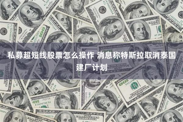 私募超短线股票怎么操作 消息称特斯拉取消泰国建厂计划