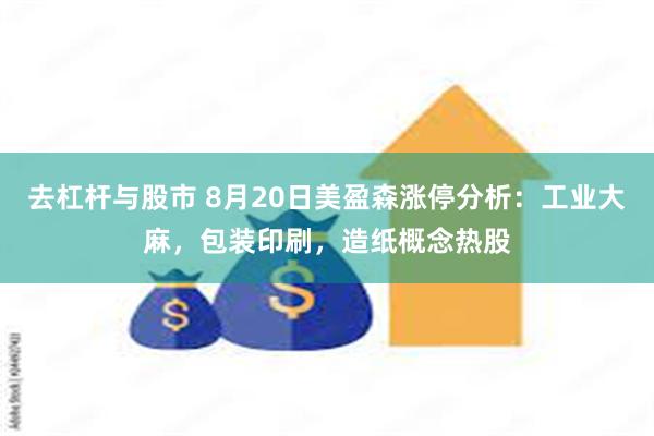 去杠杆与股市 8月20日美盈森涨停分析：工业大麻，包装印刷，造纸概念热股