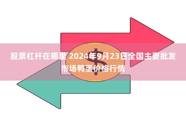 股票杠杆在哪里 2024年9月23日全国主要批发市场鸭蛋价格行情