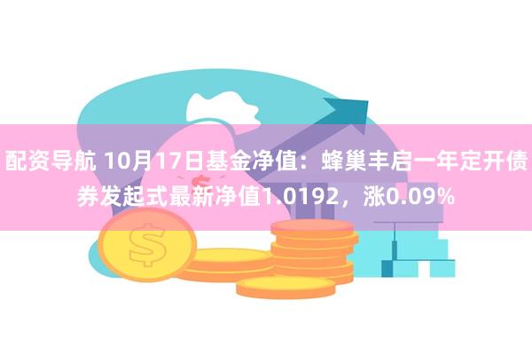 配资导航 10月17日基金净值：蜂巢丰启一年定开债券发起式最新净值1.0192，涨0.09%