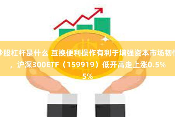 炒股杠杆是什么 互换便利操作有利于增强资本市场韧性，沪深300ETF（159919）低开高走上涨0.5%