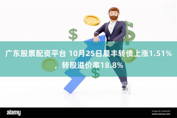 广东股票配资平台 10月25日晨丰转债上涨1.51%，转股溢价率18.8%