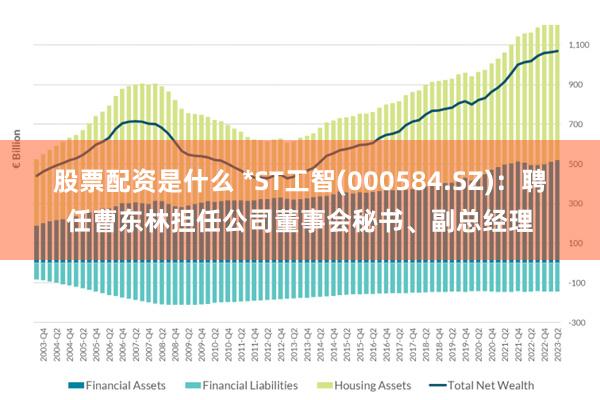 股票配资是什么 *ST工智(000584.SZ)：聘任曹东林担任公司董事会秘书、副总经理