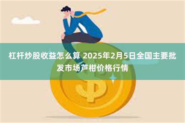 杠杆炒股收益怎么算 2025年2月5日全国主要批发市场芦柑价格行情