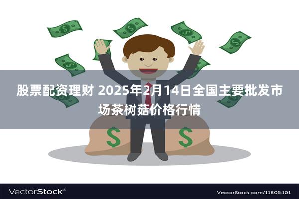 股票配资理财 2025年2月14日全国主要批发市场茶树菇价格行情