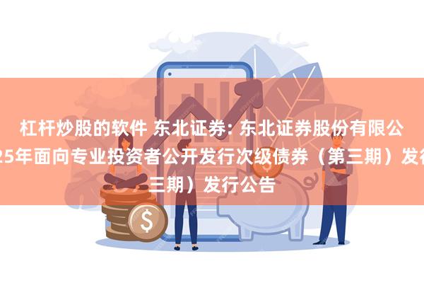 杠杆炒股的软件 东北证券: 东北证券股份有限公司2025年面向专业投资者公开发行次级债券（第三期）发行公告